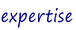 -> expertises